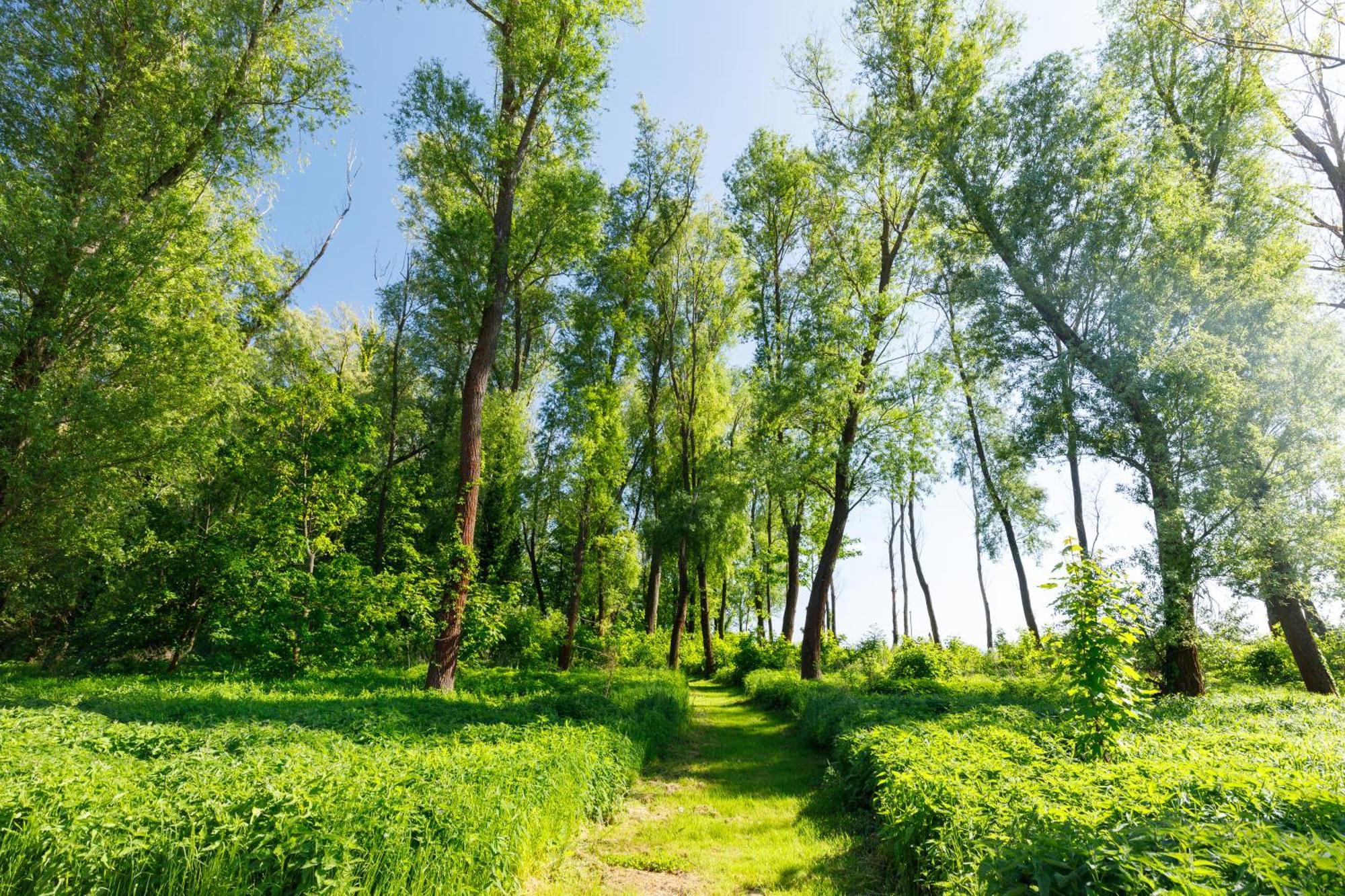 Blue4 Apartment Balatonfůzfő المظهر الخارجي الصورة